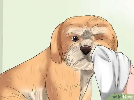 Image titled Bathe a Shih Tzu Puppy Step 11
