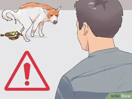 Image titled Greatly Improve the Life of a Dog with Arthritis Step 10