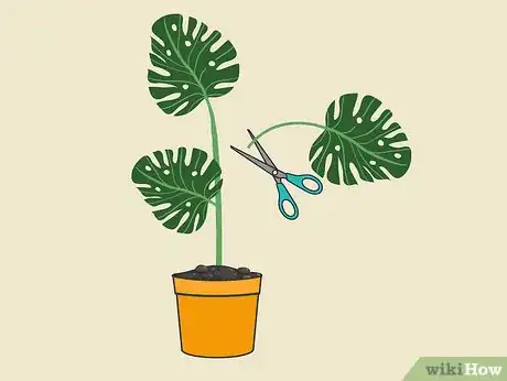 Image titled Grow Philodendron Step 2