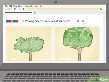 Image titled Keep a Pear Tree Healthy Step 10