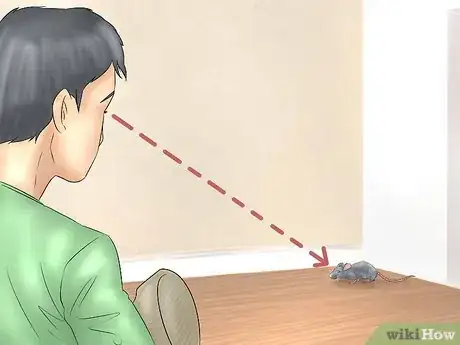 Image titled Humanely Kill a Rodent Step 14