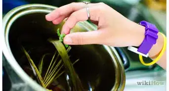 Measure Fresh vs Dried Herbs