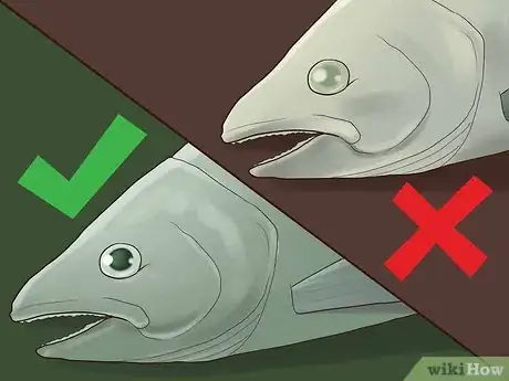 Image titled Know if Salmon Is Bad Step 4