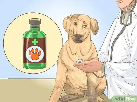 Image titled Get a Dog to Eat Step 8