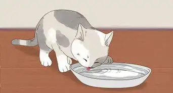 Choose a Hairball Formula for Your Cat