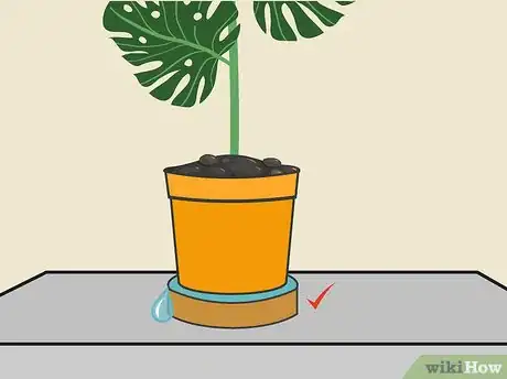 Image titled Grow Philodendron Step 8