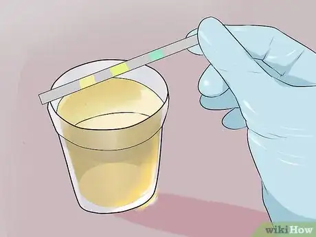 Image titled Diagnose Cognitive Dysfunction in Senior Dogs Step 11