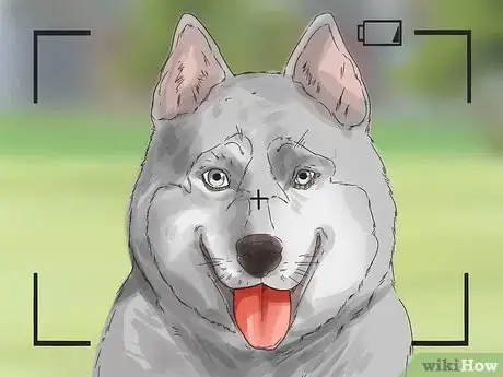 Image titled Photograph Dogs Step 6