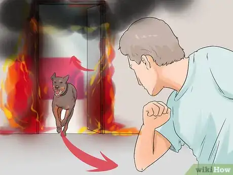 Image titled Fire Drill Train Your Dog Step 10