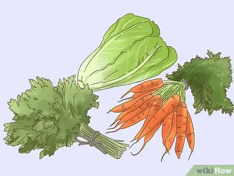 Image titled Handle Anorexia in Guinea Pigs Step 6