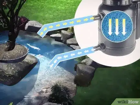 Image titled Care for Your Pond Step 1