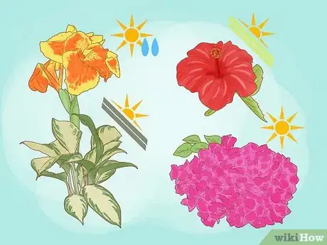 Image titled Have a Sustainable Garden in Saudi Arabia Step 3