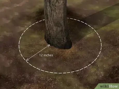 Image titled Plant Under a Tree Step 4