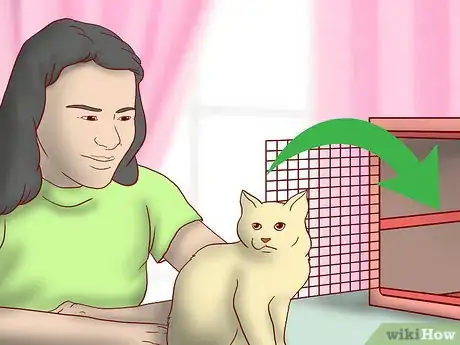 Image titled Include Your Cat in Holiday Celebrations Step 1