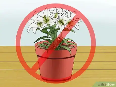 Image titled Make a Room Hamster Friendly Step 3