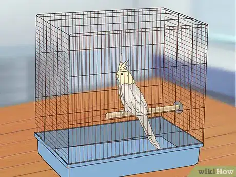 Image titled Treat Chlamydiosis in Cockatiels Step 3