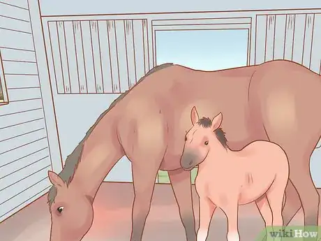 Image titled Wean a Foal Step 11