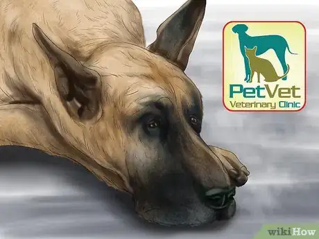 Image titled Treat Bloat in Great Danes Step 4