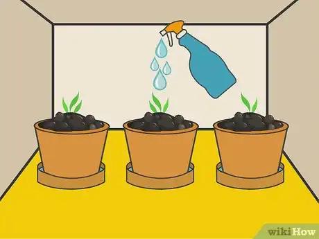 Image titled Plant Forget Me Not Seeds Step 10