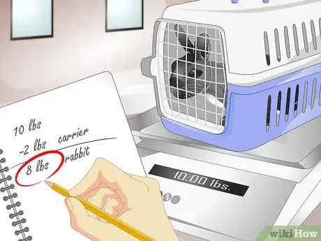 Image titled Keep Your Rabbit Slim Step 13