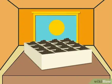 Image titled Grow Chrysanthemums Step 11