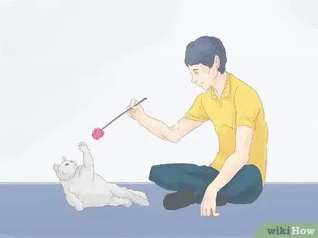 Image titled Keep a Cat from Running Away when It Is Moved Step 7