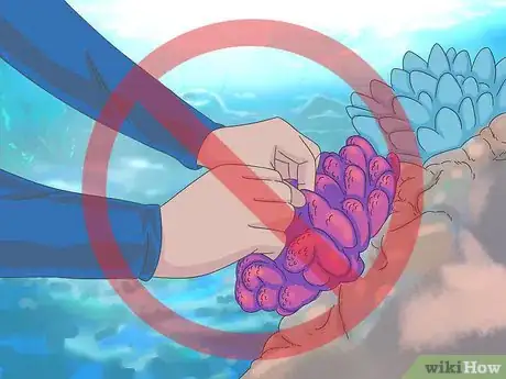 Image titled Go to the Great Barrier Reef Step 8