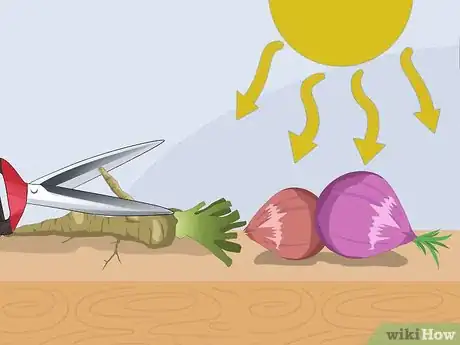 Image titled Store Produce in a Root Cellar Step 7