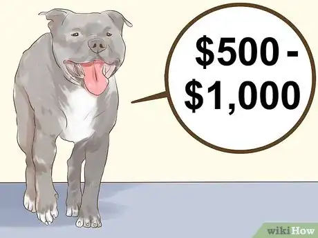 Image titled Adopt Multiple Dogs at One Time Step 3