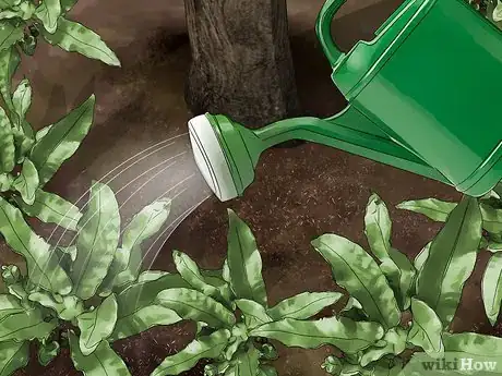 Image titled Plant Under a Tree Step 8