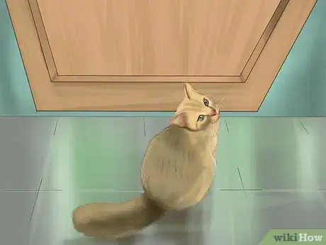Image titled Train a Cat Step 18