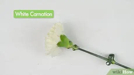 Image titled Dye Carnations Step 14