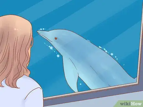 Image titled Adopt a Dolphin Step 8