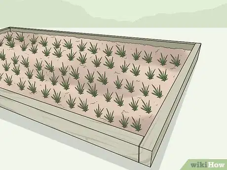 Image titled Use Horticultural Fleece Step 1