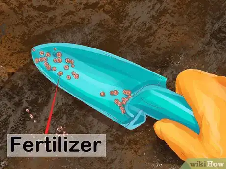 Image titled Grow Olives Step 16