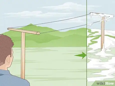 Image titled Grow Scuppernongs Step 6