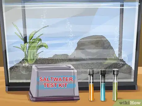 Image titled Start a Saltwater Aquarium Step 25
