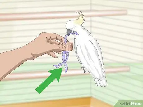 Image titled Choose a Cage for a Cockatoo Step 9