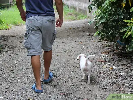 Image titled Make a Puppy Happy Step 6