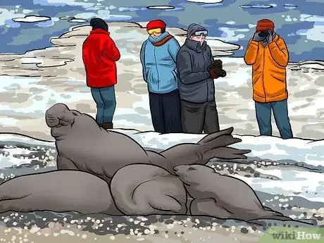 Image titled Cruise to Antarctica Step 8