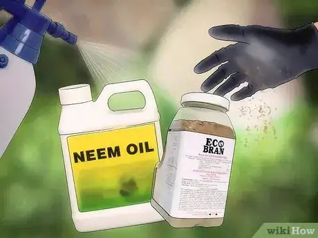 Image titled Get Rid of Grasshoppers Step 4