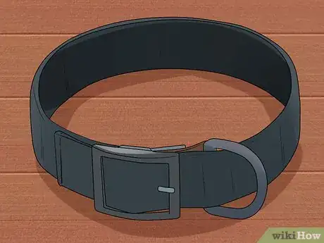 Image titled Walk Two Dogs with One Leash Step 4