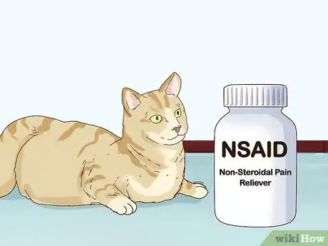 Image titled Handle Degenerative Joint Disease in Cats Step 5