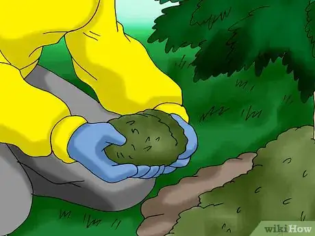 Image titled Plant a Living Christmas Tree Step 14