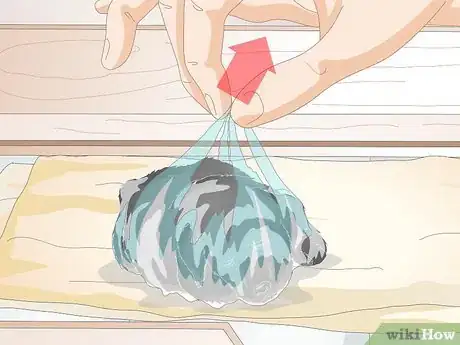 Image titled Keep Orphaned Newborn Puppies Clean Step 1