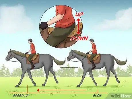 Image titled Train a Horse to Walk Through Water Step 1