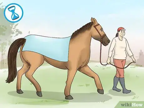Image titled Handle Equine Wobblers Syndrome Step 10