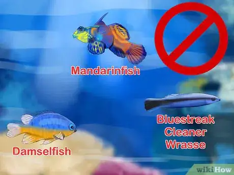 Image titled Start a Saltwater Aquarium Step 3