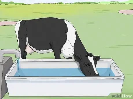 Image titled Increase Dairy Milk Production Step 5