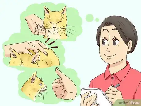 Image titled Countercondition a Cat Step 3